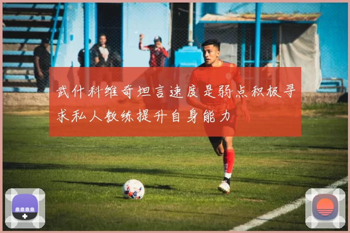 武什科维奇坦言速度是弱点积极寻求私人教练提升自身能力